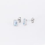 Arany-fulbevalo-13566