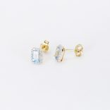 Arany-fulbevalo-365-01220