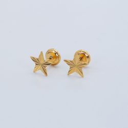 Arany-menetes-zaras-csillag-fulbevalo-15833