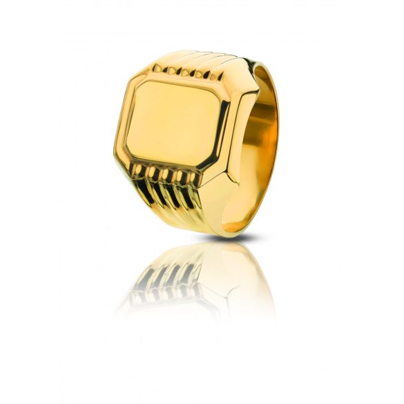 Arany pecsétgyűrű - 4101PG010F