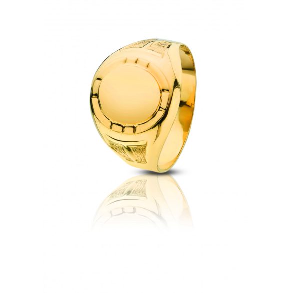 Arany pecsétgyűrű - 4101PG011F