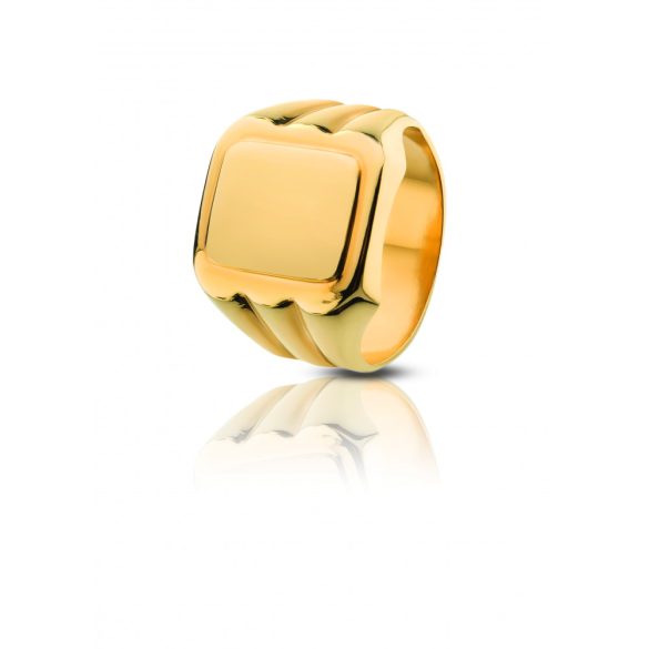Arany pecsétgyűrű - 4101PG016F