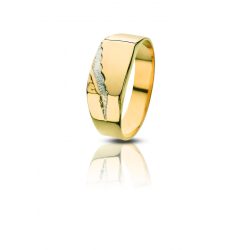 Arany pecsétgyűrű - 4101PG025F