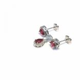 Csepp-stekkeres-fulbevalo-es-medal-S-0071/Ag-925-R